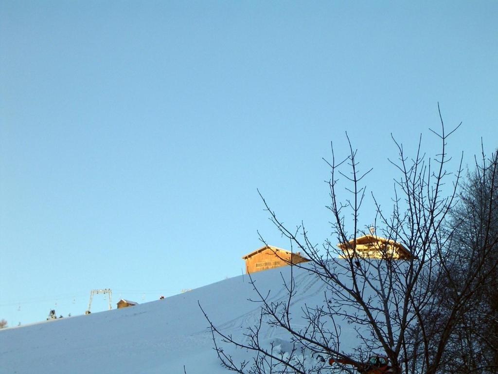 Haus Salzachblick Lägenhet Piesendorf Exteriör bild