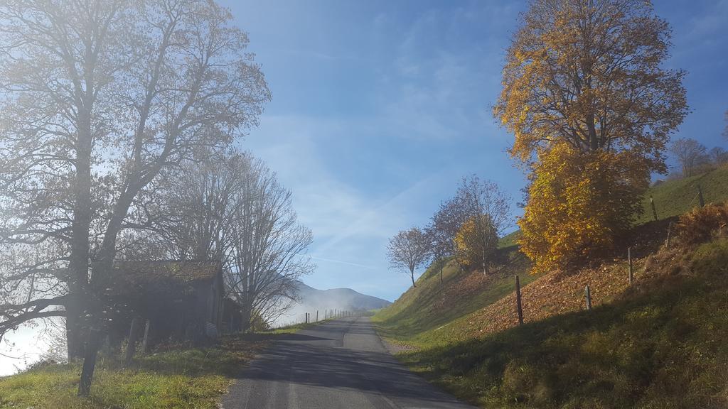 Haus Salzachblick Lägenhet Piesendorf Exteriör bild